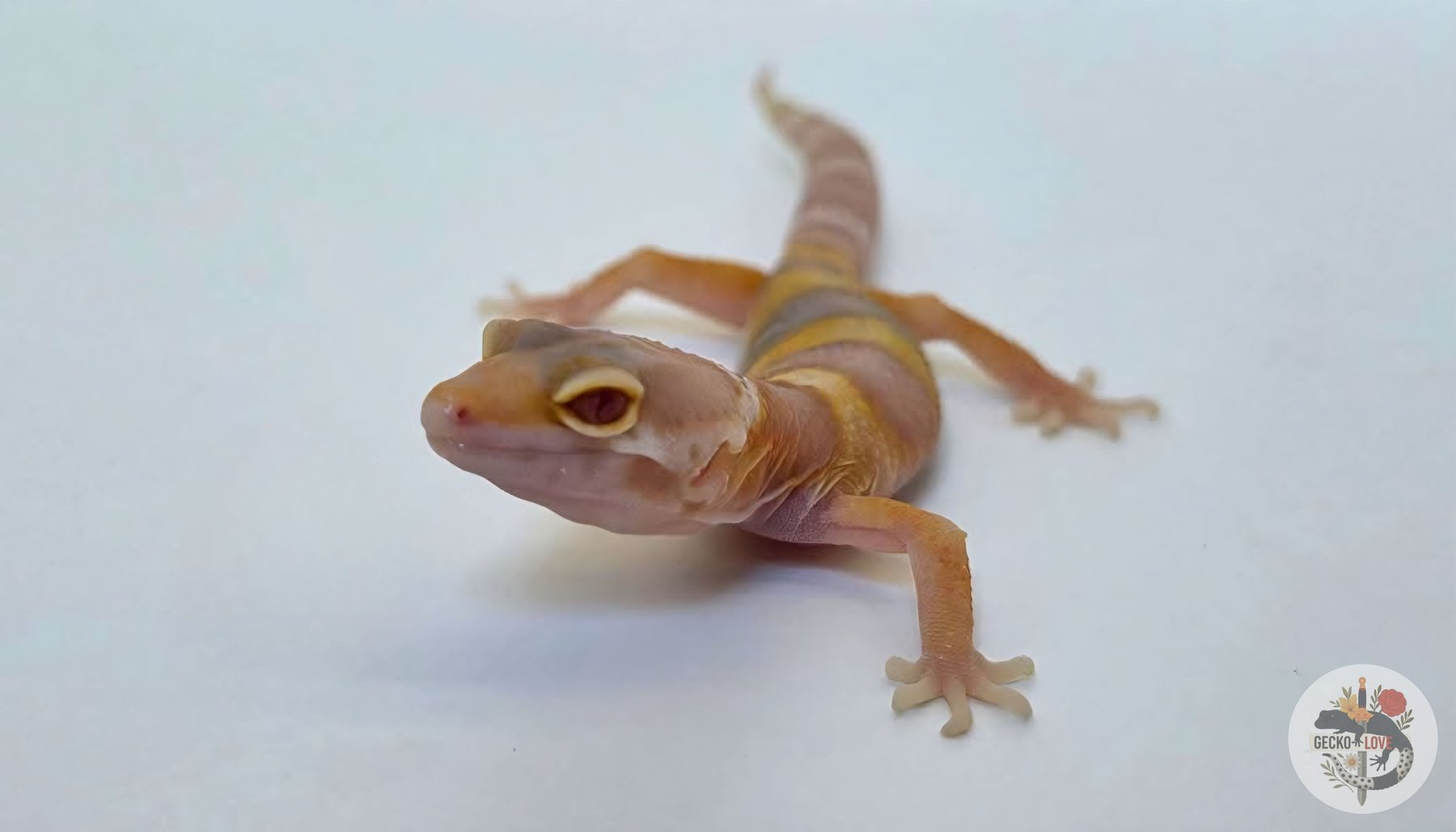 Loumé — miniature 2