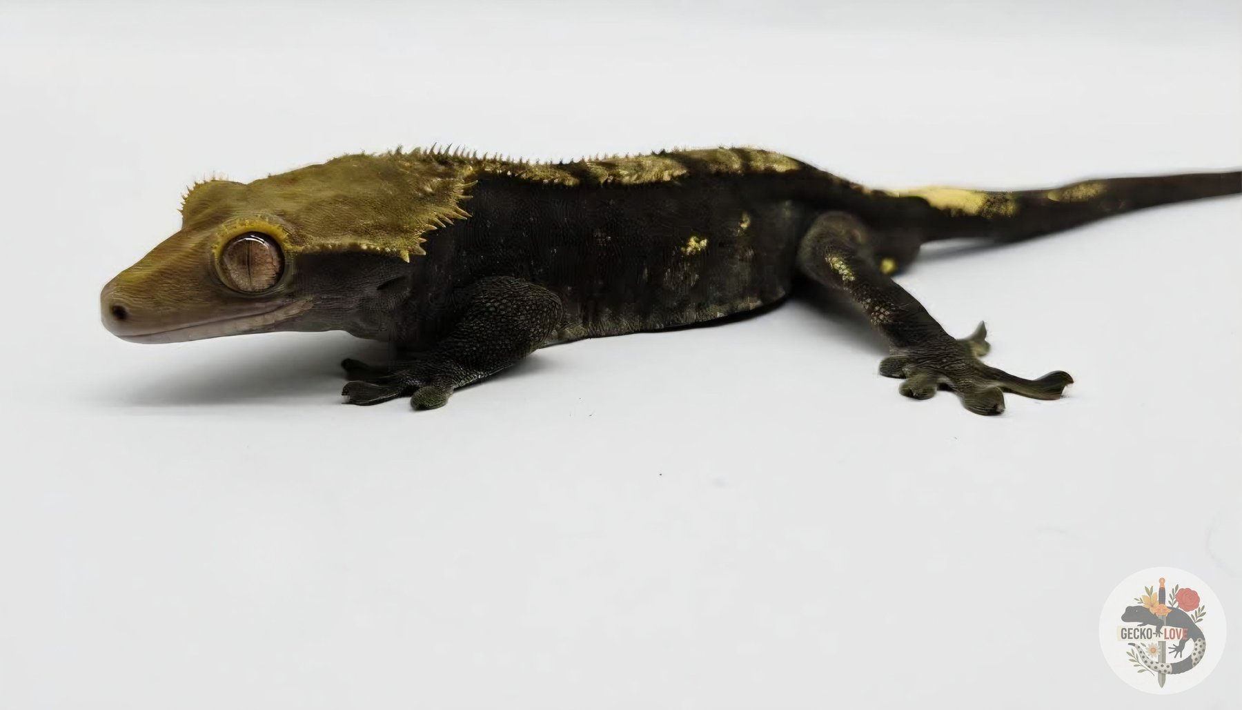 Ragnar  — miniature 3