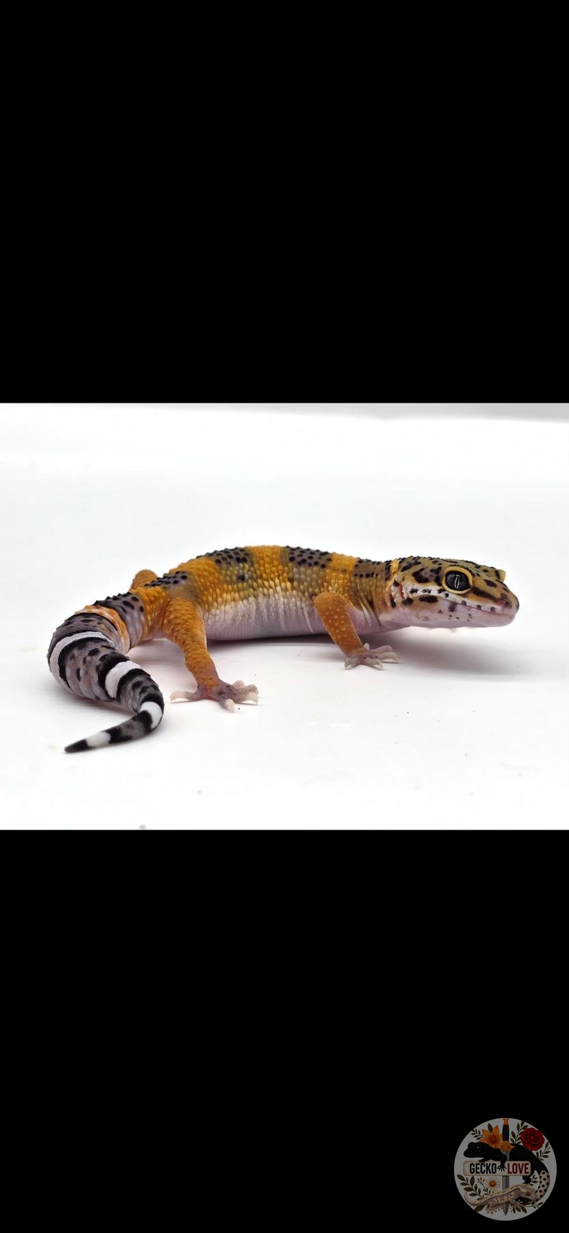 Ruby — miniature 3