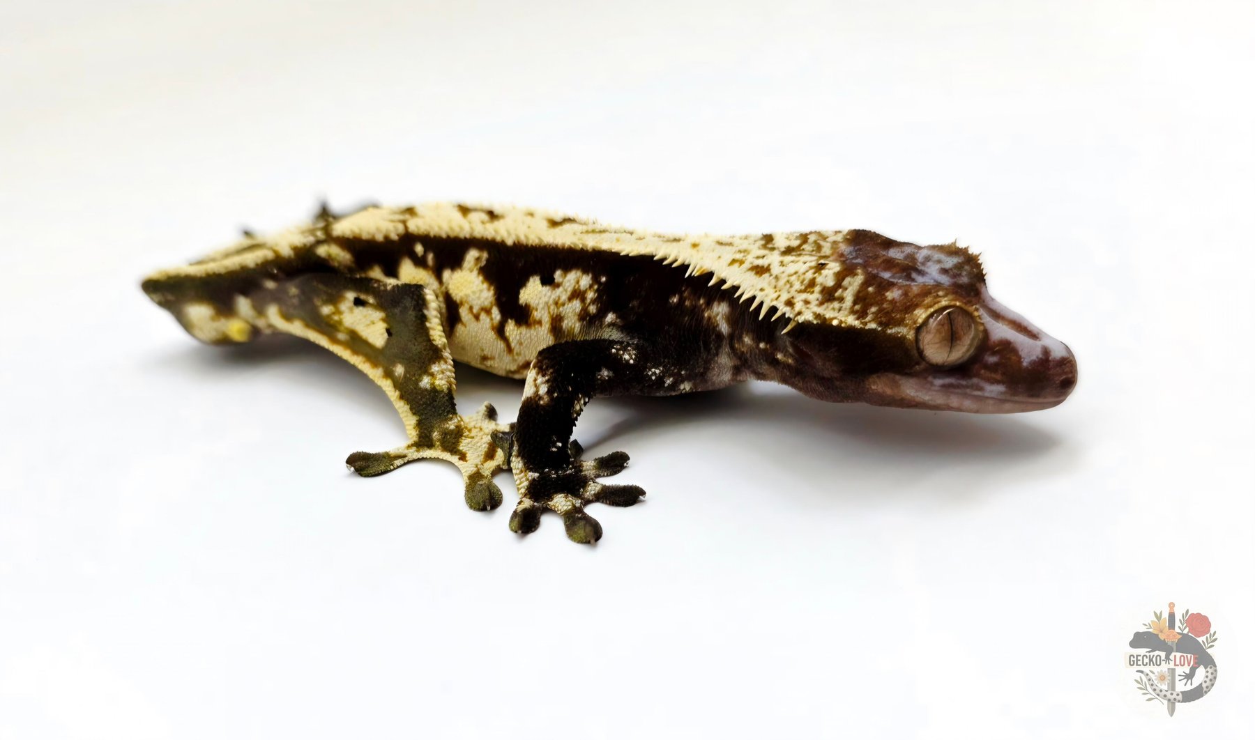 Loki  — miniature 3