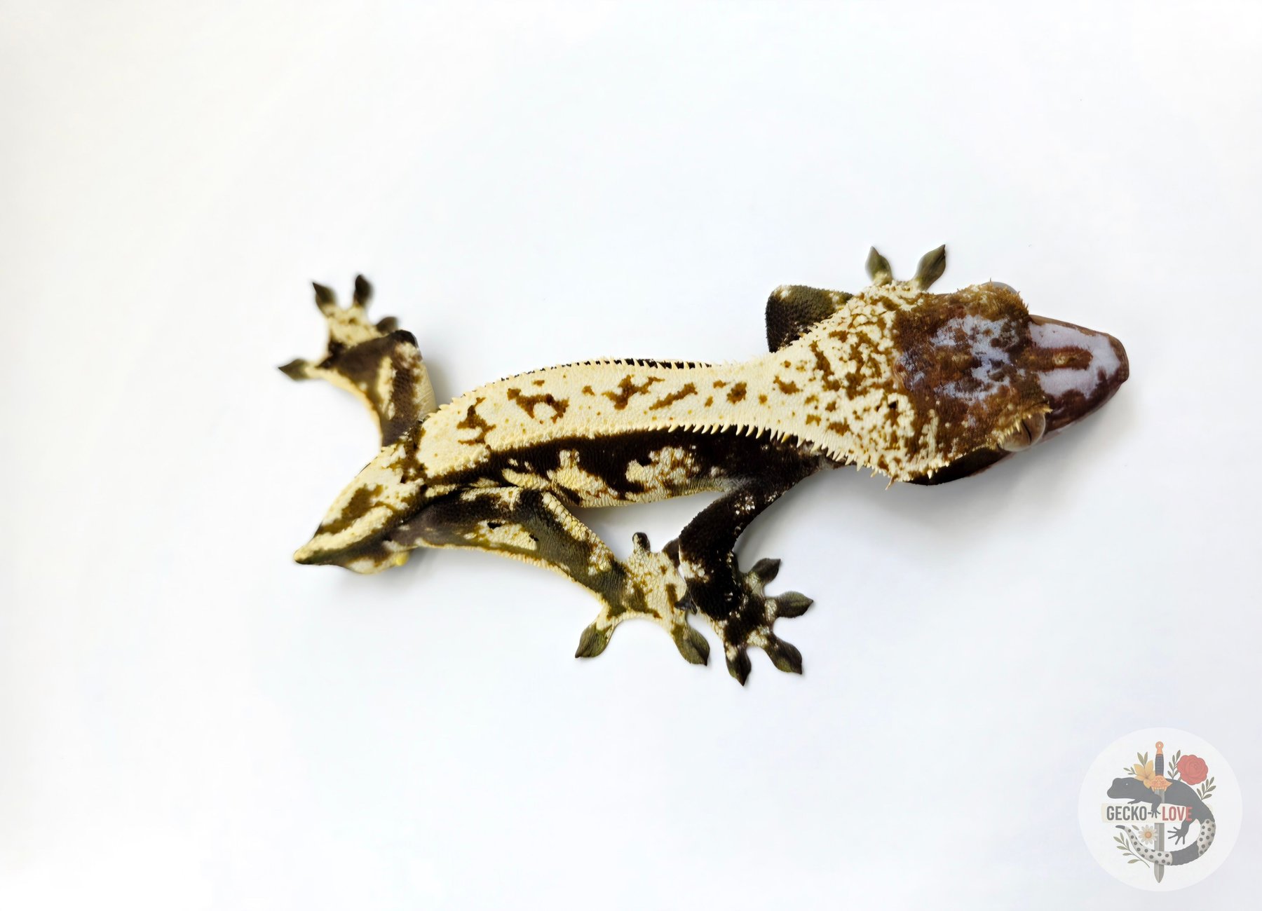 Loki  — miniature 8